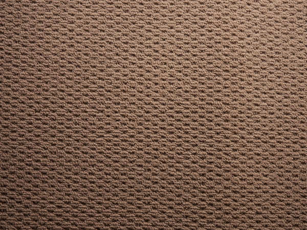 Polypropylene